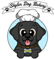 Skyler Dog Bakery