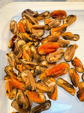 Load image into Gallery viewer, New Zealand Mussels (Dehydrated Dog Treats)
